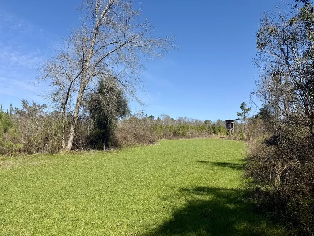 0 Co Road 71 Greenville AL 36037