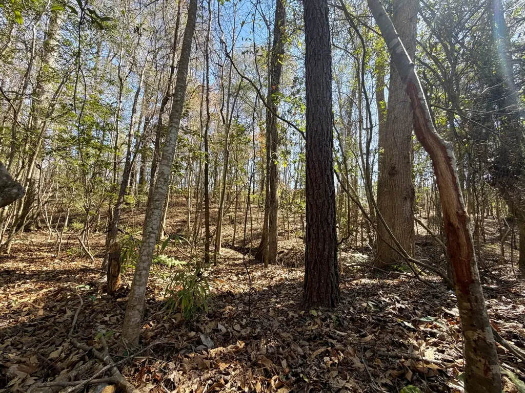 0 Co Road 71 Greenville AL 36037