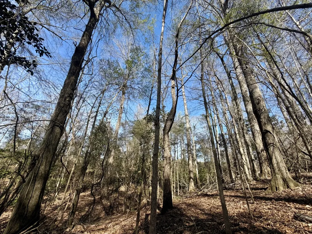 0 Co Road 71 Greenville AL 36037