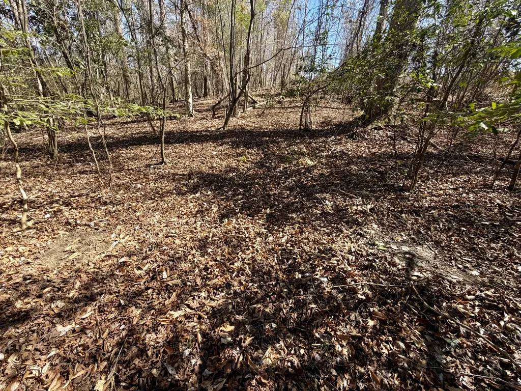 0 Co Road 71 Greenville AL 36037