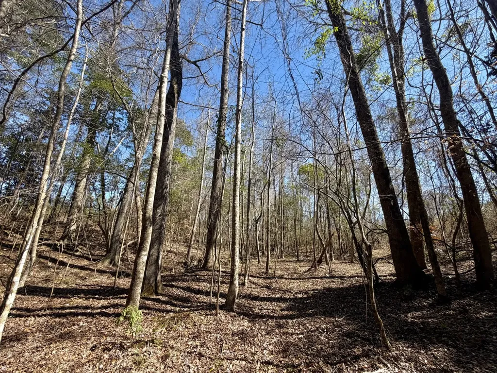0 Co Road 71 Greenville AL 36037