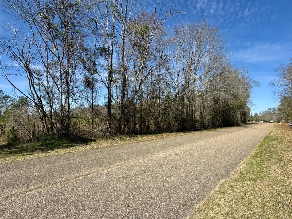 0 Co Road 71 Greenville AL 36037