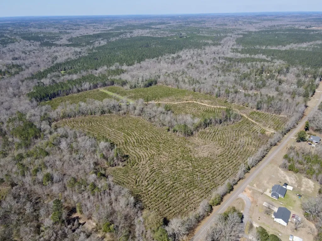 0 Co Road 71 Greenville AL 36037