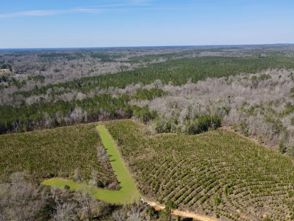 0 Co Road 71 Greenville AL 36037