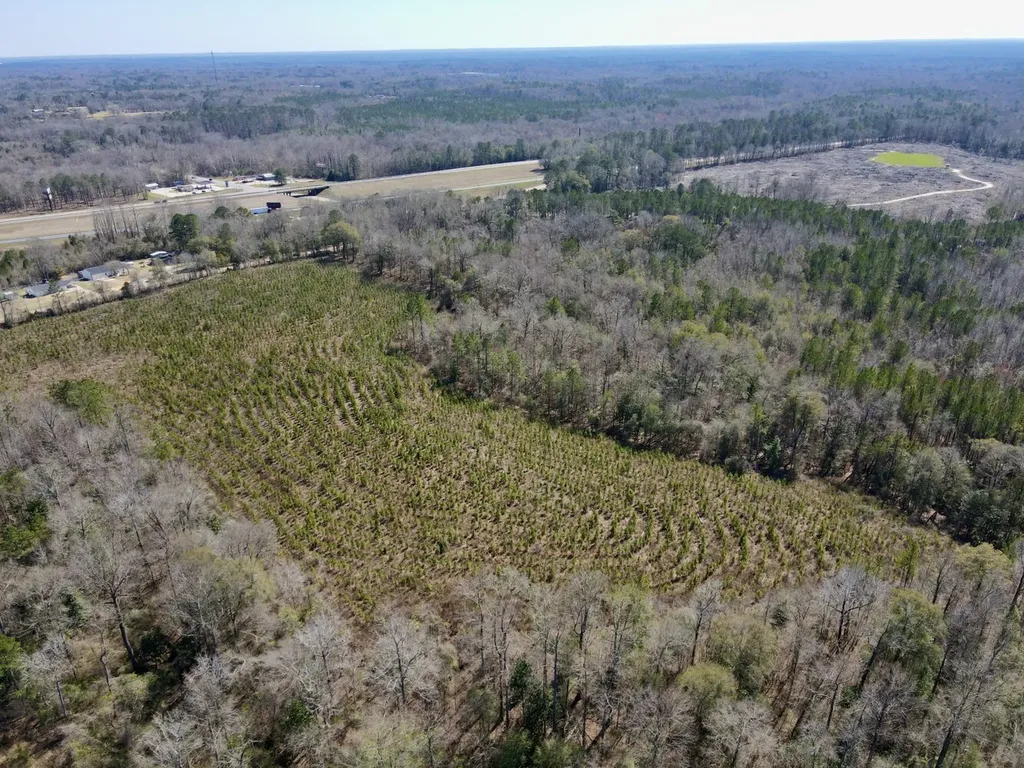 0 Co Road 71 Greenville AL 36037