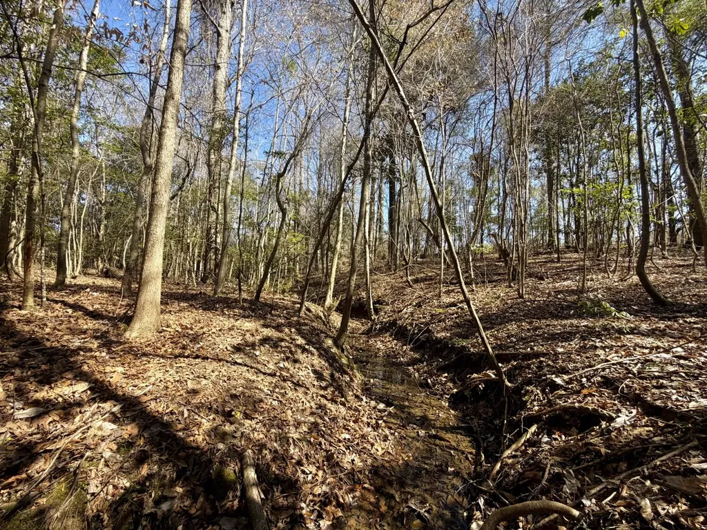 0 Co Road 71 Greenville AL 36037