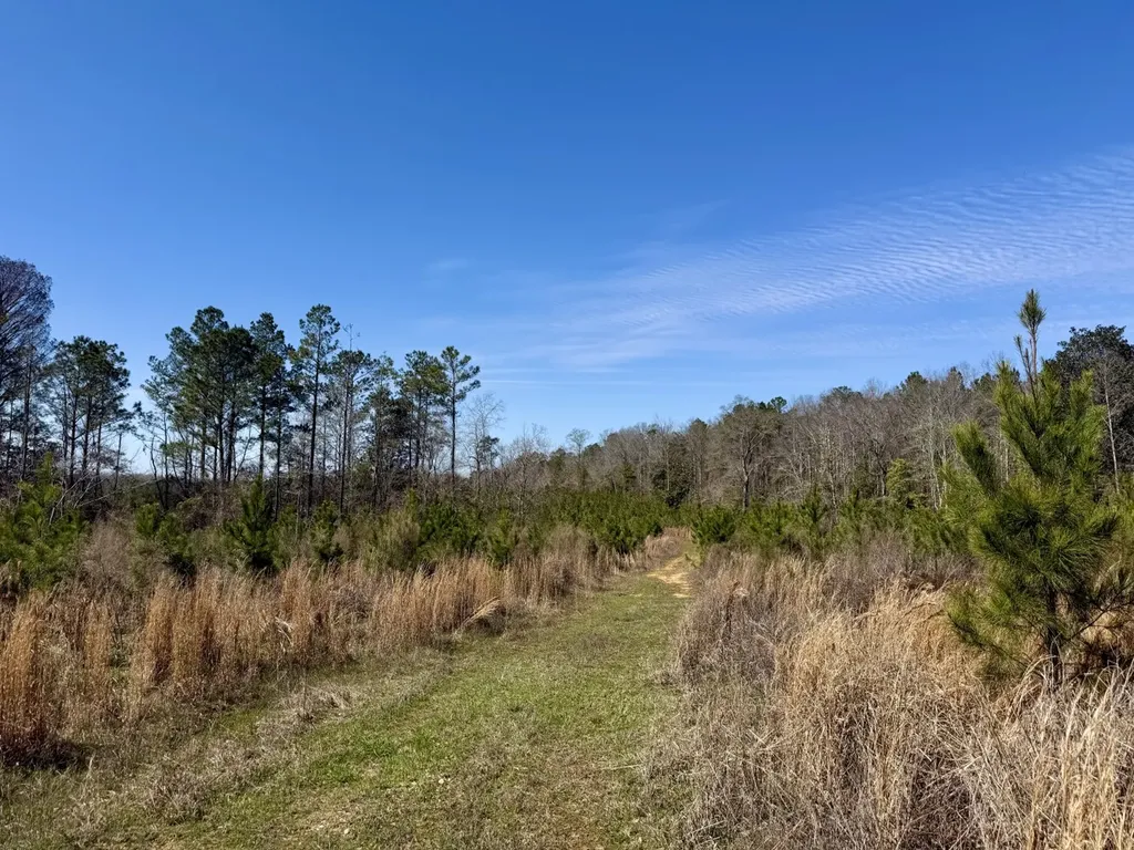 0 Co Road 71 Greenville AL 36037