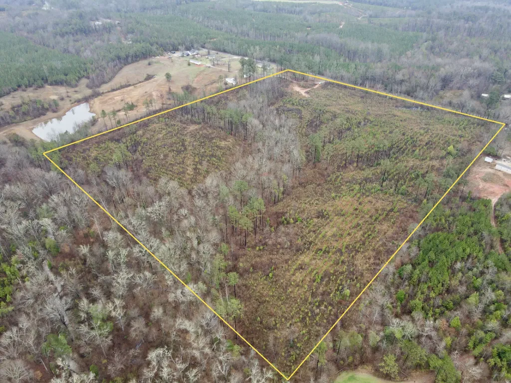 0 Marengo County Road 15 Sweet Water AL 36782