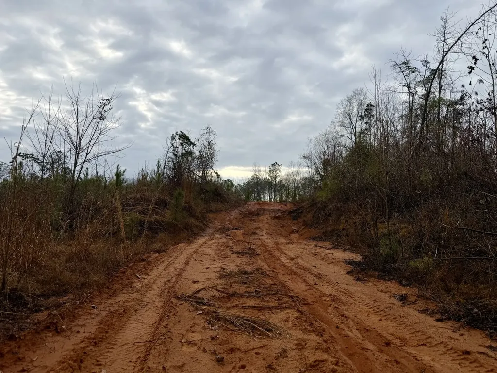 0 Marengo County Road 15 Sweet Water AL 36782