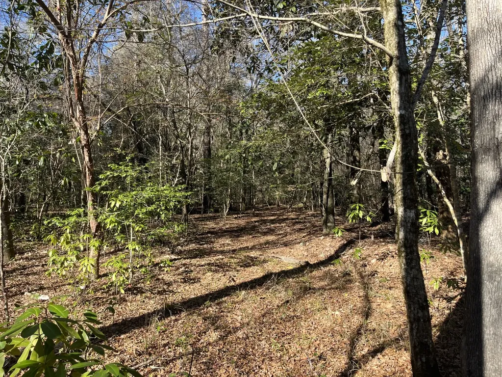 0 Highway 21 Monroeville AL 36460