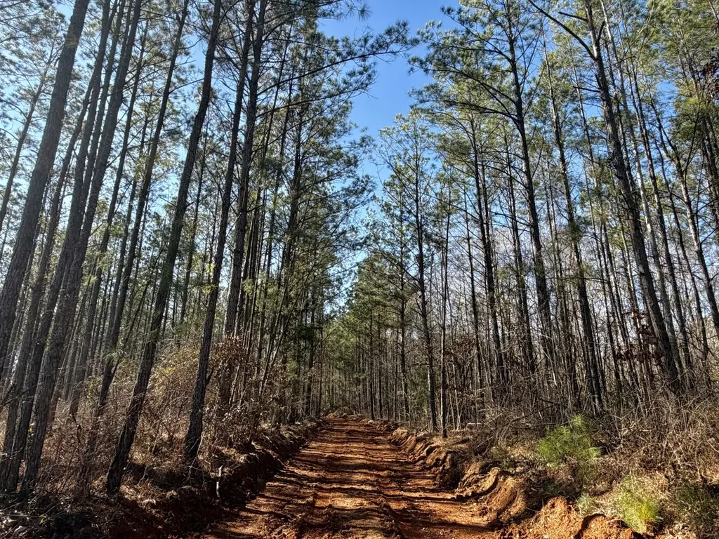 0 Co Road 16 Pine Apple AL 36768