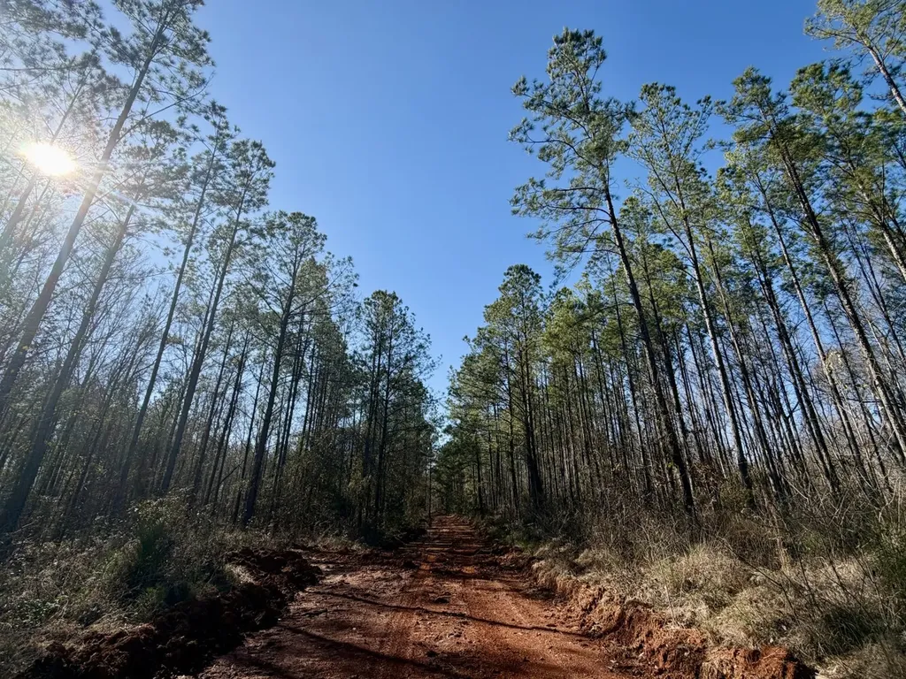 0 Co Road 16 Pine Apple AL 36768