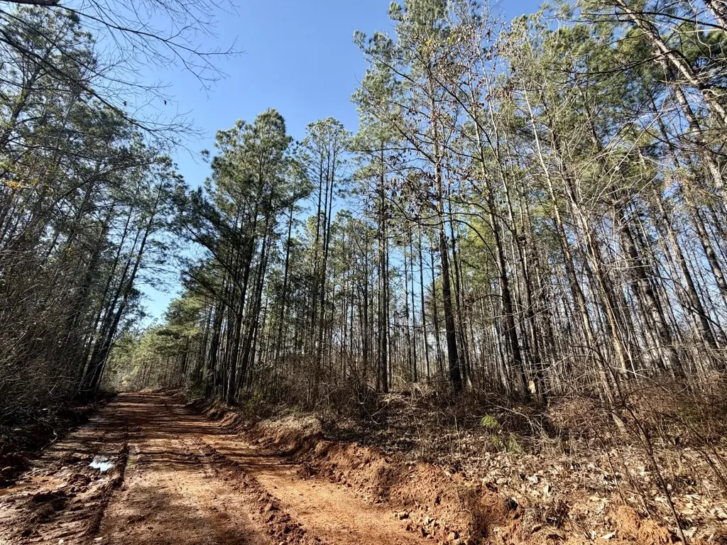 0 Co Road 16 Pine Apple AL 36768