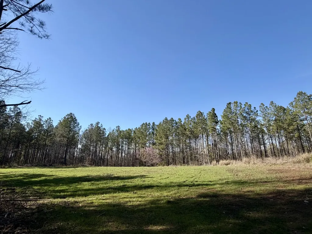0 Co Road 16 Pine Apple AL 36768