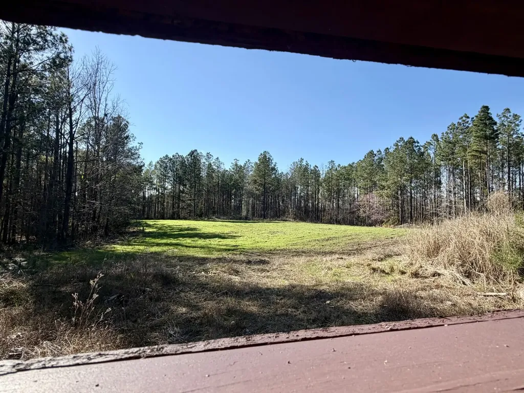 0 Co Road 16 Pine Apple AL 36768