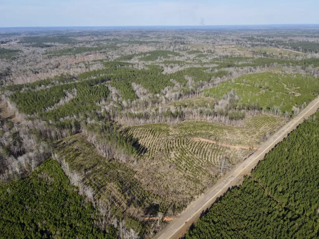 0 Co Road 16 Pine Apple AL 36768