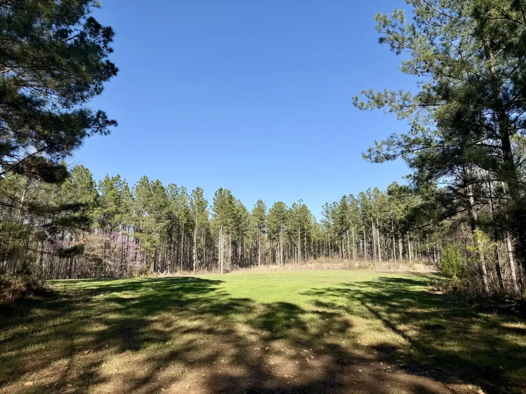 0 Co Road 16 Pine Apple AL 36768
