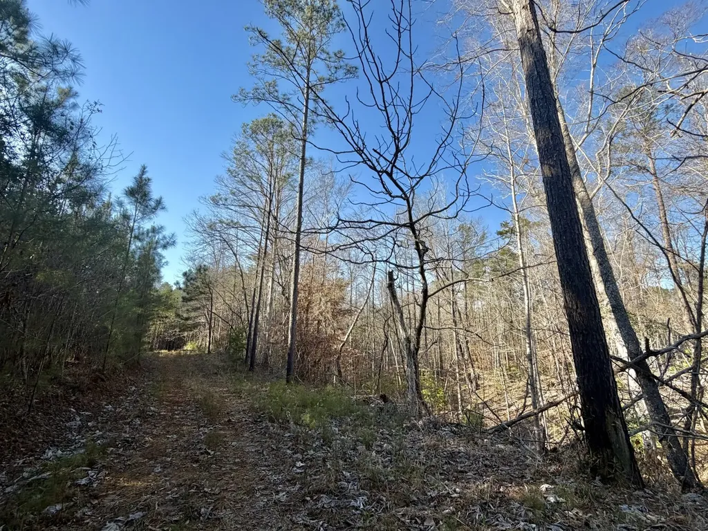 0 Co Road 16 Pine Apple AL 36768
