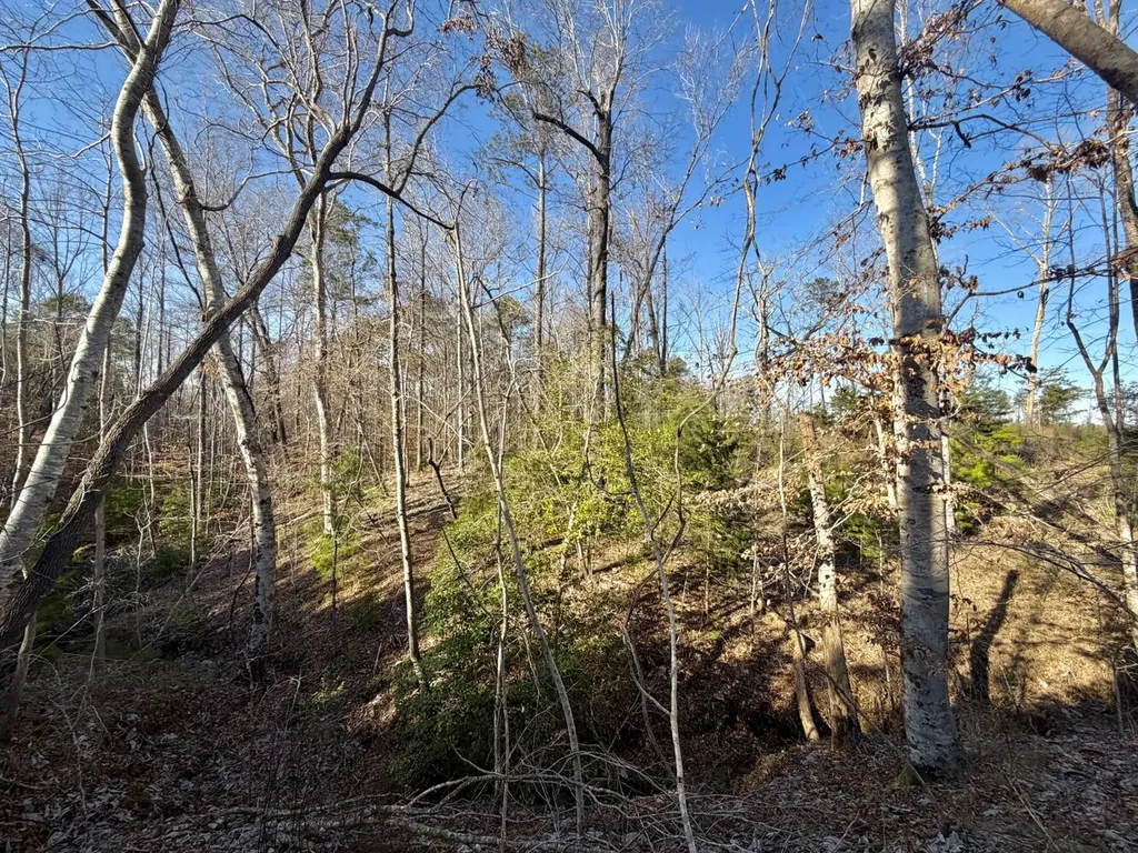 0 Co Road 16 Pine Apple AL 36768