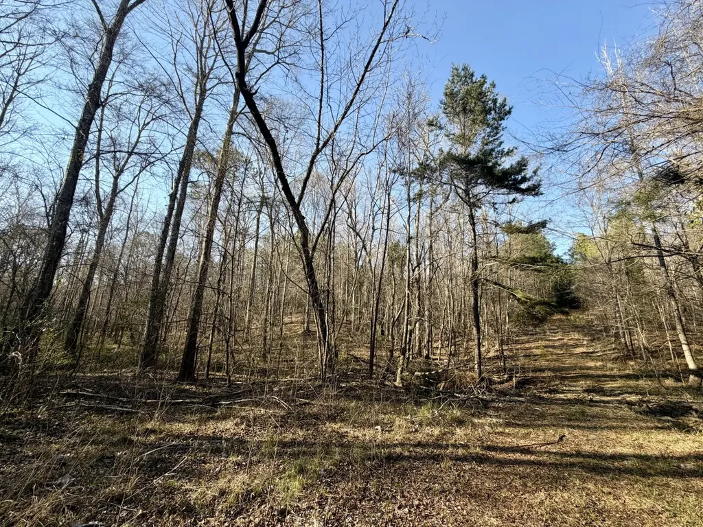 0 Co Road 16 Pine Apple AL 36768