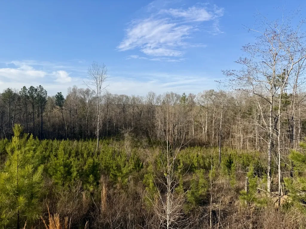 0 Co Road 16 Pine Apple AL 36768