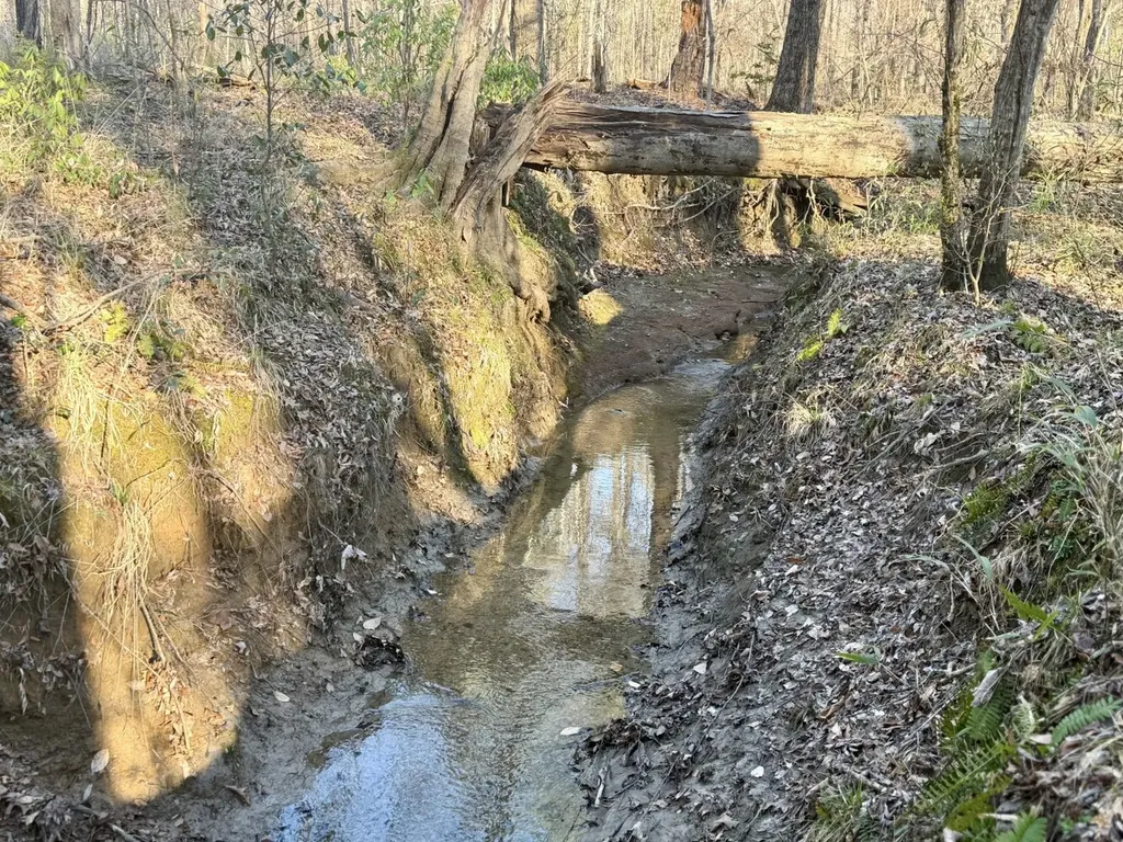 0 Co Road 16 Pine Apple AL 36768