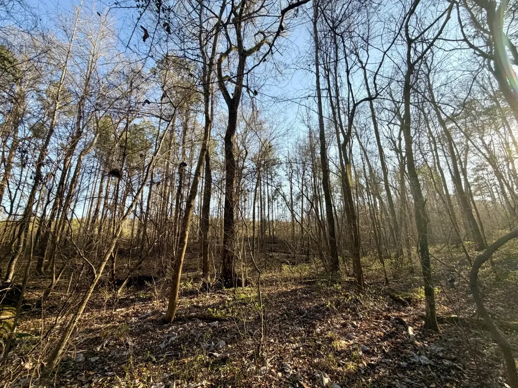 0 Co Road 16 Pine Apple AL 36768