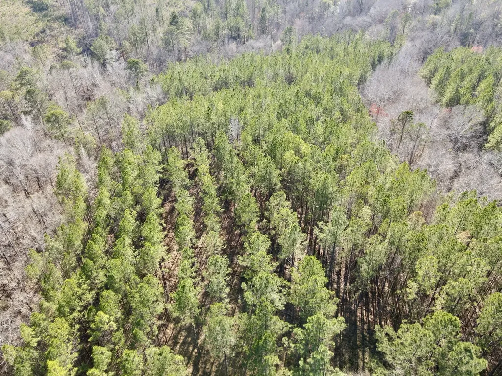 0 Co Road 16 Pine Apple AL 36768