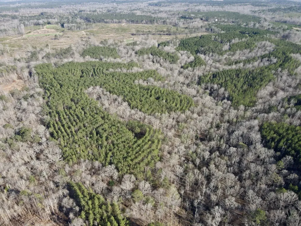 0 Co Road 16 Pine Apple AL 36768