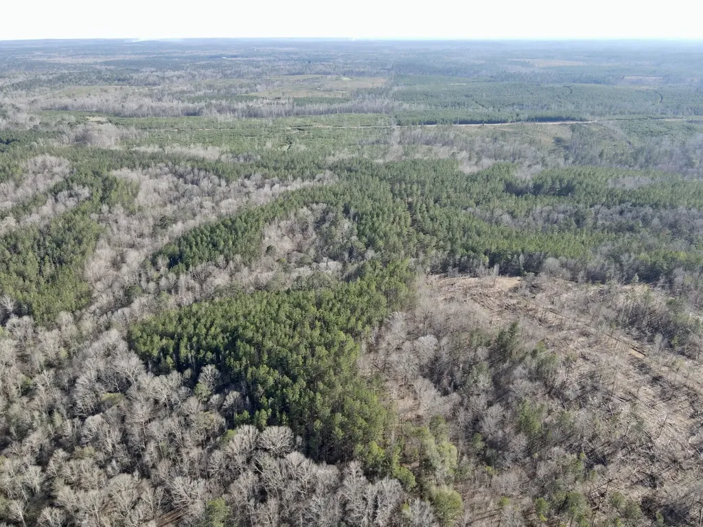 0 Co Road 16 Pine Apple AL 36768