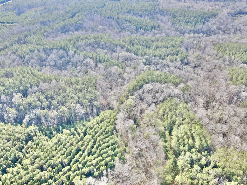 0 Co Road 16 Pine Apple AL 36768
