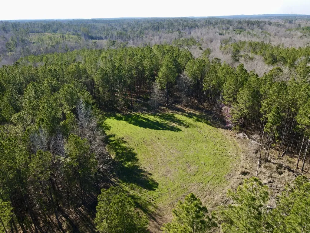 0 Co Road 16 Pine Apple AL 36768