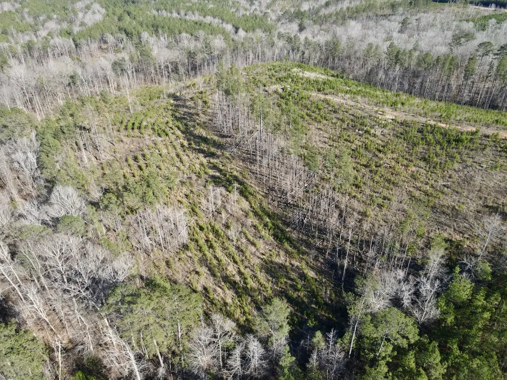 0 Co Road 16 Pine Apple AL 36768