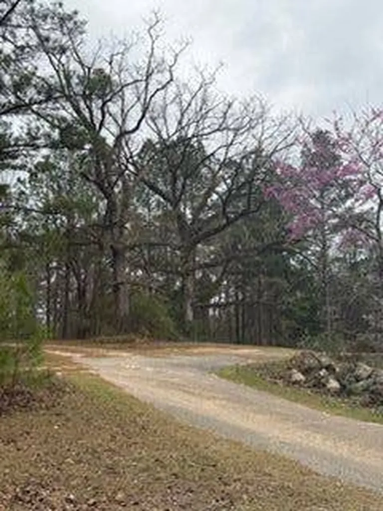 3079 Gainestown Road Jackson AL 36545