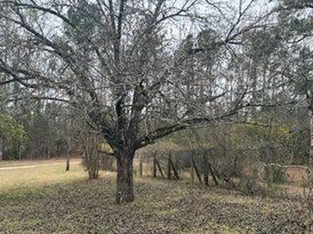 3079 Gainestown Road Jackson AL 36545