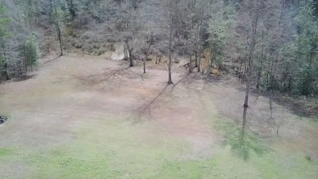 156 Deer Trail Drive Leroy AL 36548