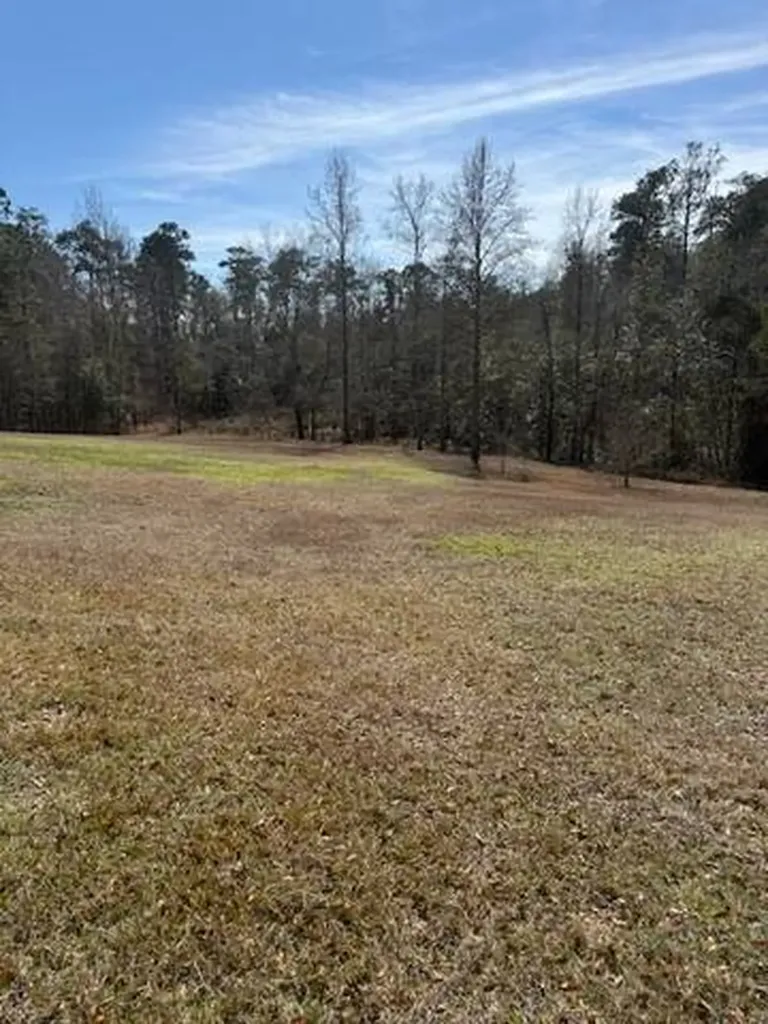 156 Deer Trail Drive Leroy AL 36548