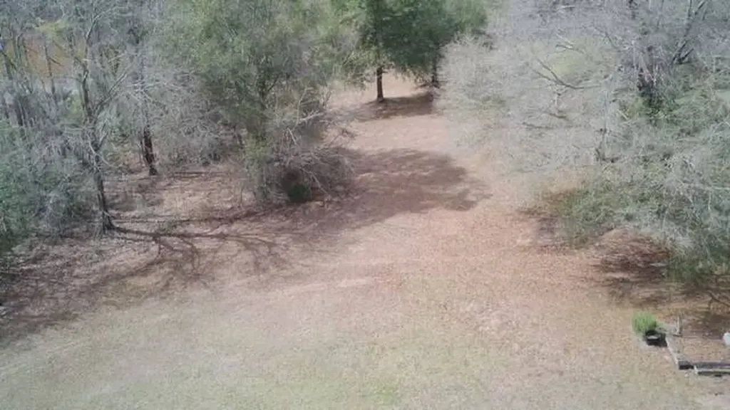 156 Deer Trail Drive Leroy AL 36548