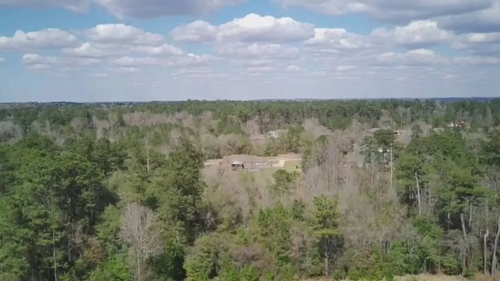 156 Deer Trail Drive Leroy AL 36548