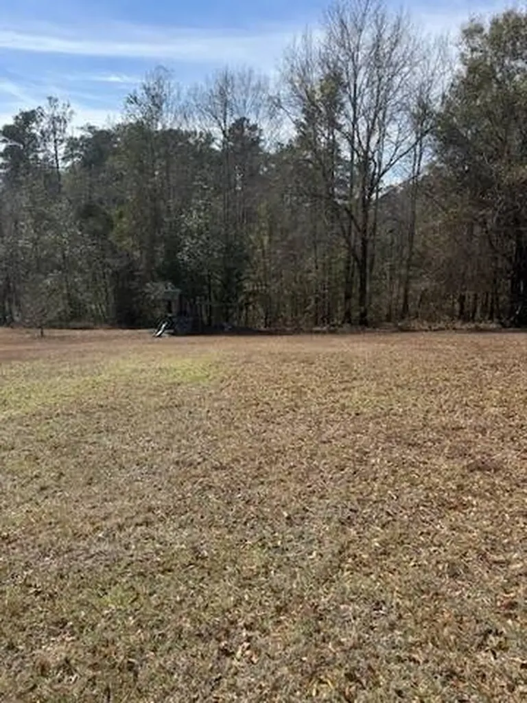 156 Deer Trail Drive Leroy AL 36548