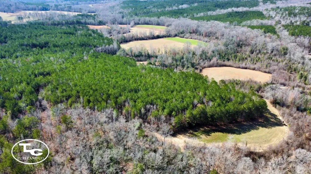0 Cr 26 S Bankston AL 35542