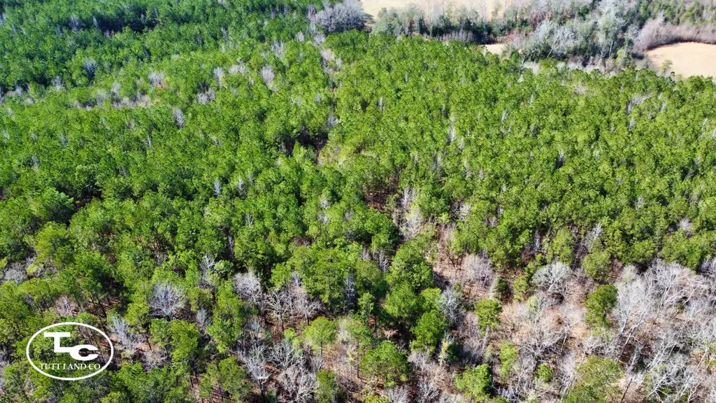 0 Cr 26 S Bankston AL 35542