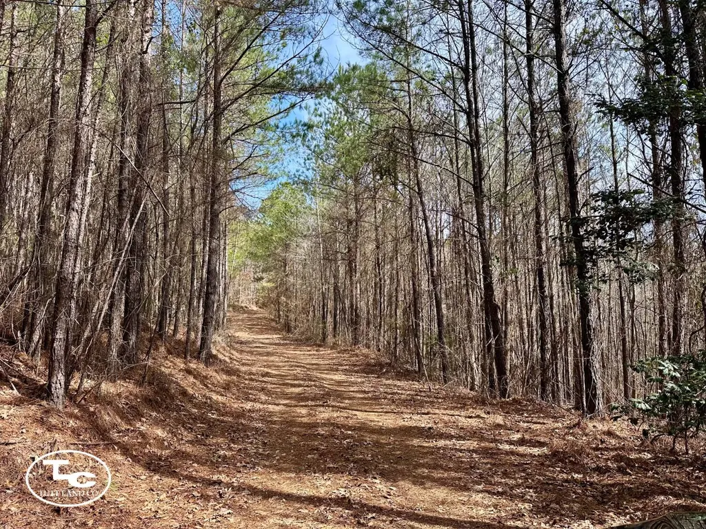 0 Cr 26 S Bankston AL 35542
