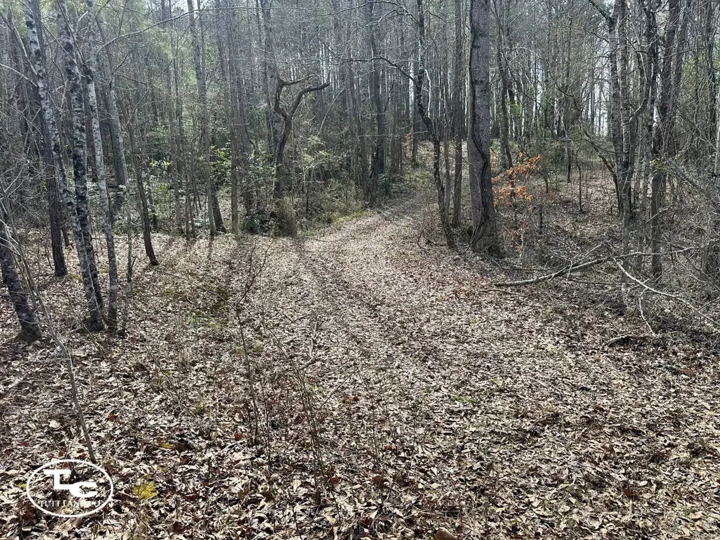 0 Cr 26 S Bankston AL 35542