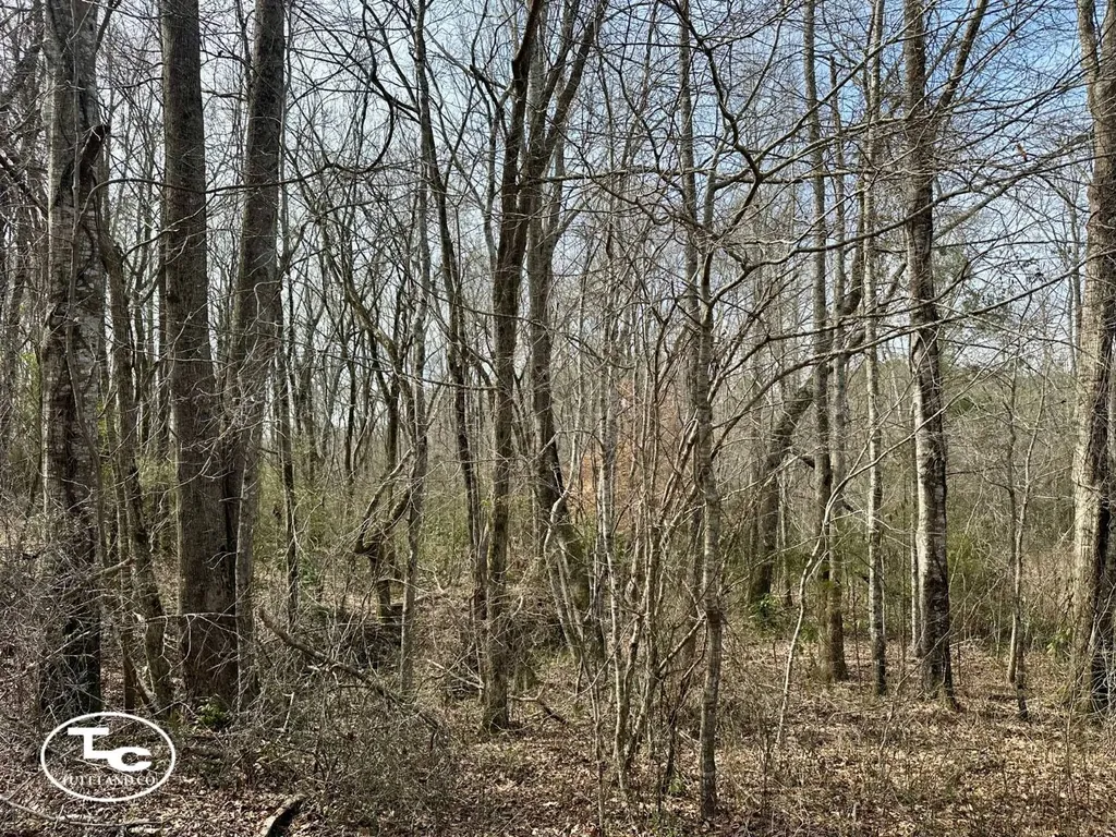 0 Cr 26 S Bankston AL 35542