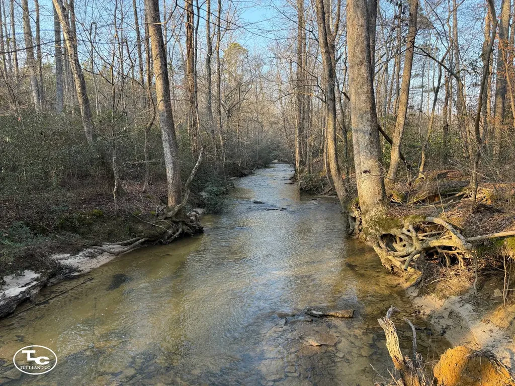 0 Cr 26 S Bankston AL 35542