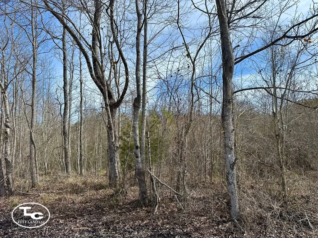 0 Cr 26 S Bankston AL 35542