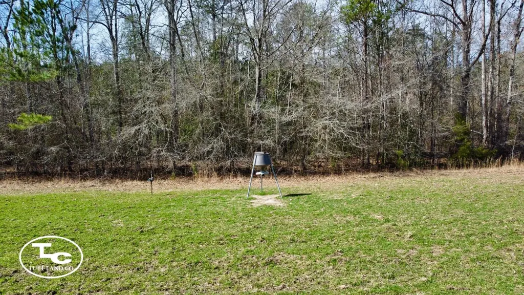 0 Cr 26 S Bankston AL 35542