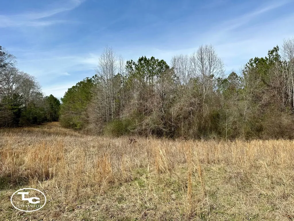 0 Cr 26 S Bankston AL 35542