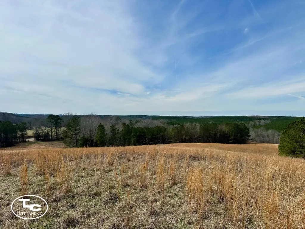 0 Cr 26 S Bankston AL 35542